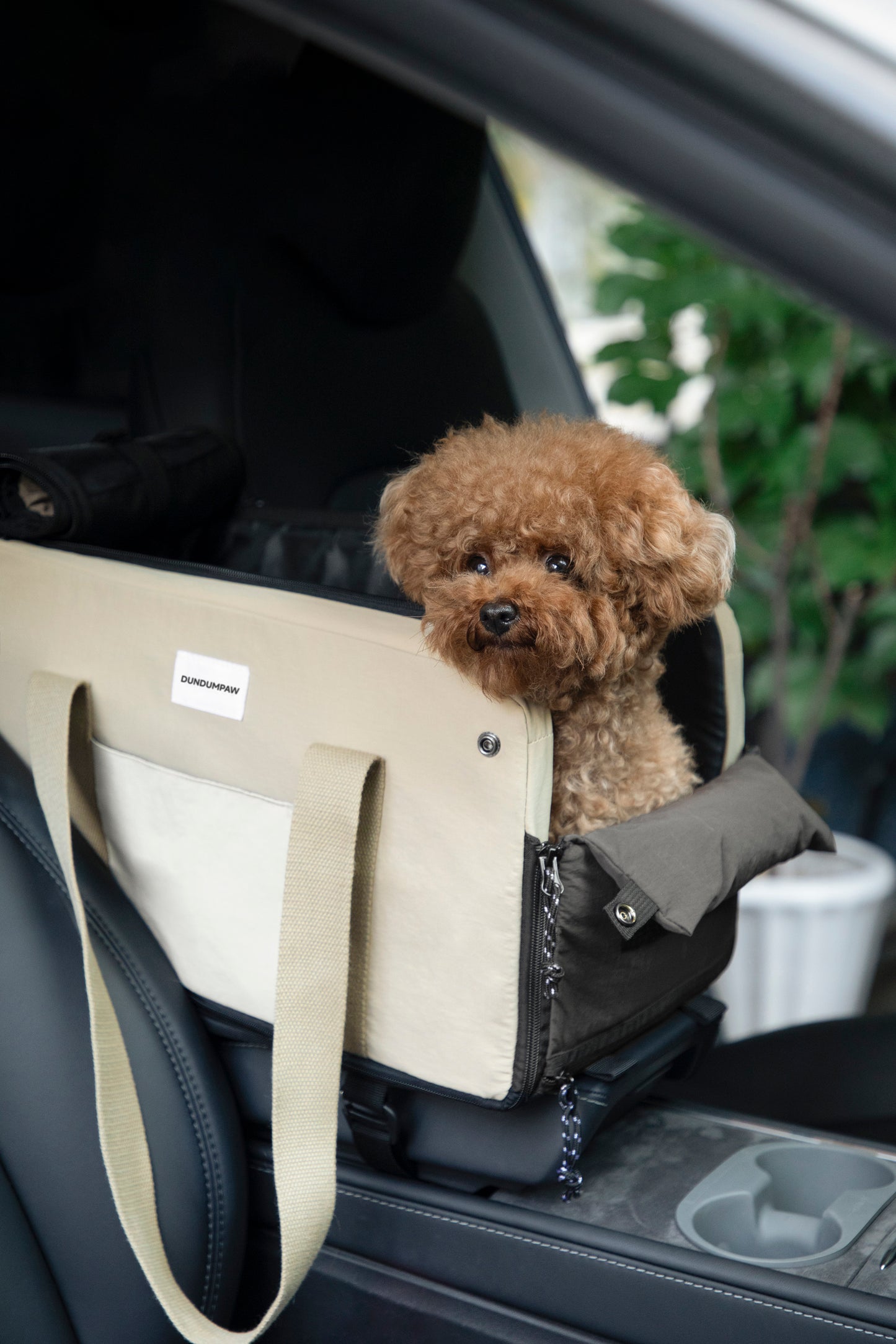 Car-mounted Pet Carrier