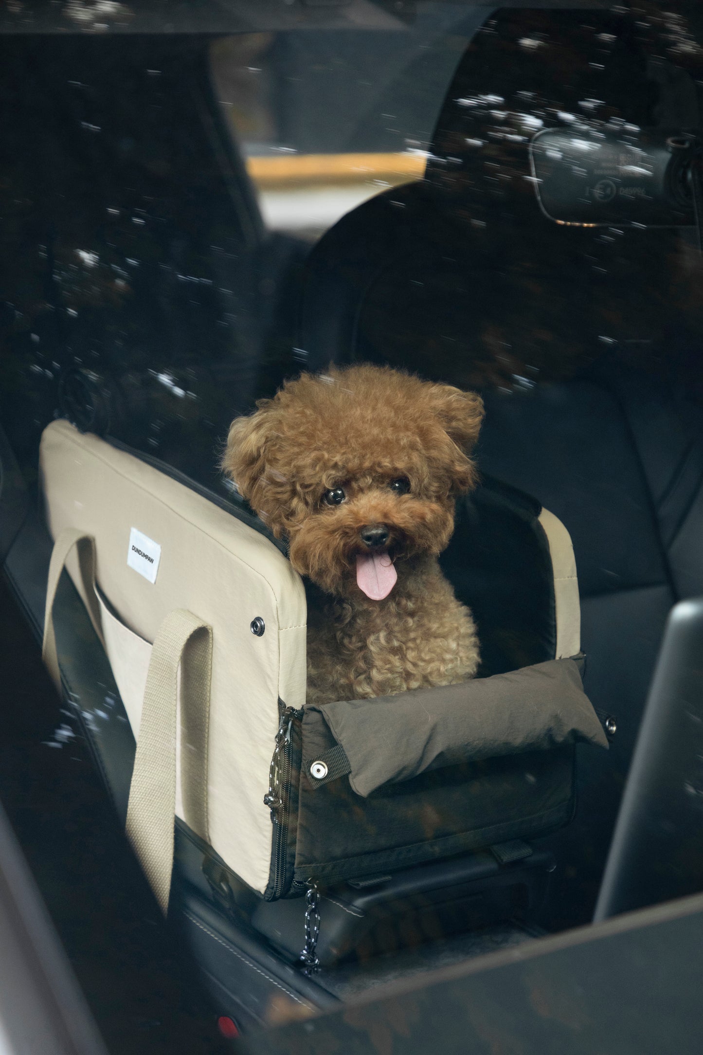 Car-mounted Pet Carrier