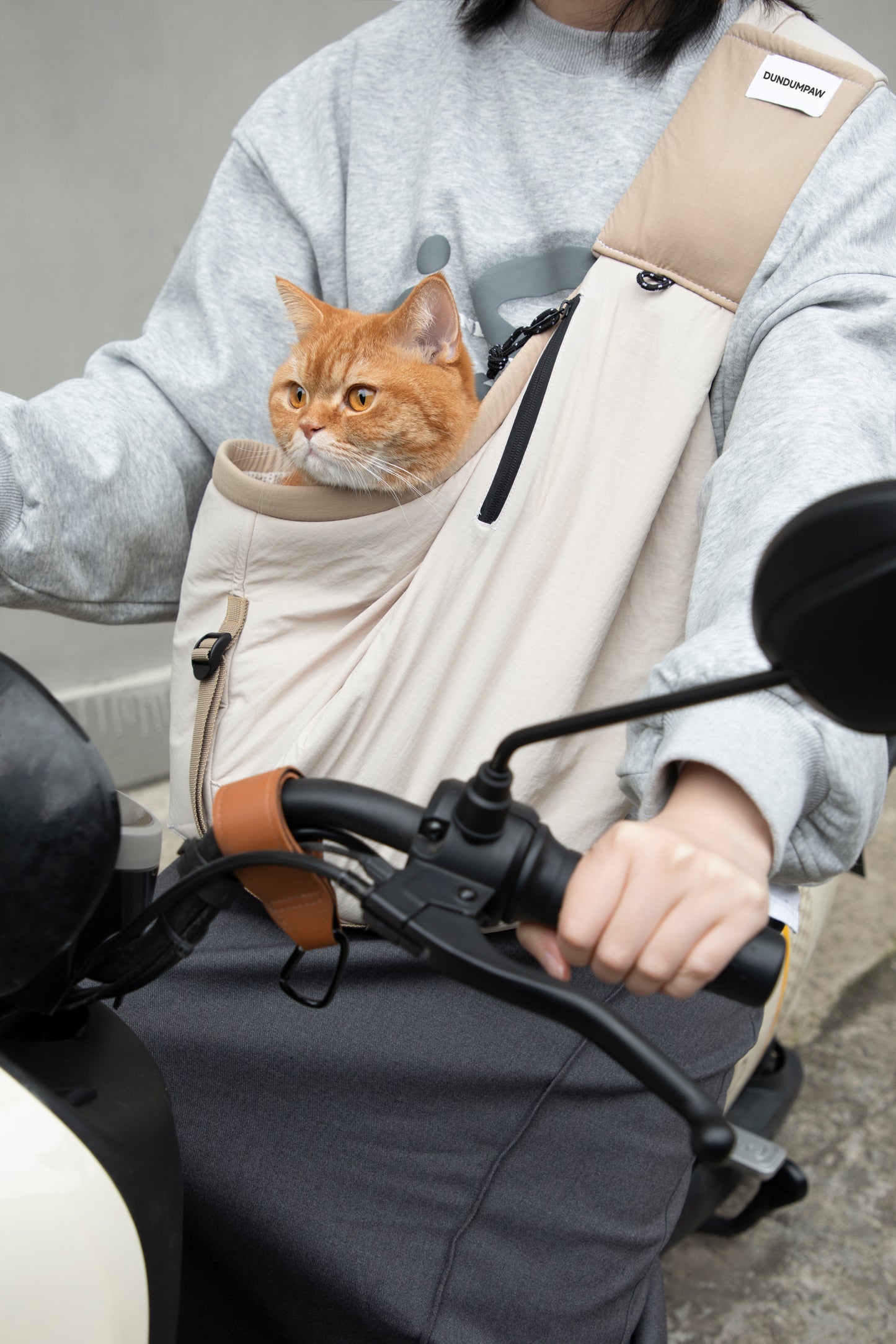 Pet Travel Tote & Crossbody Bag