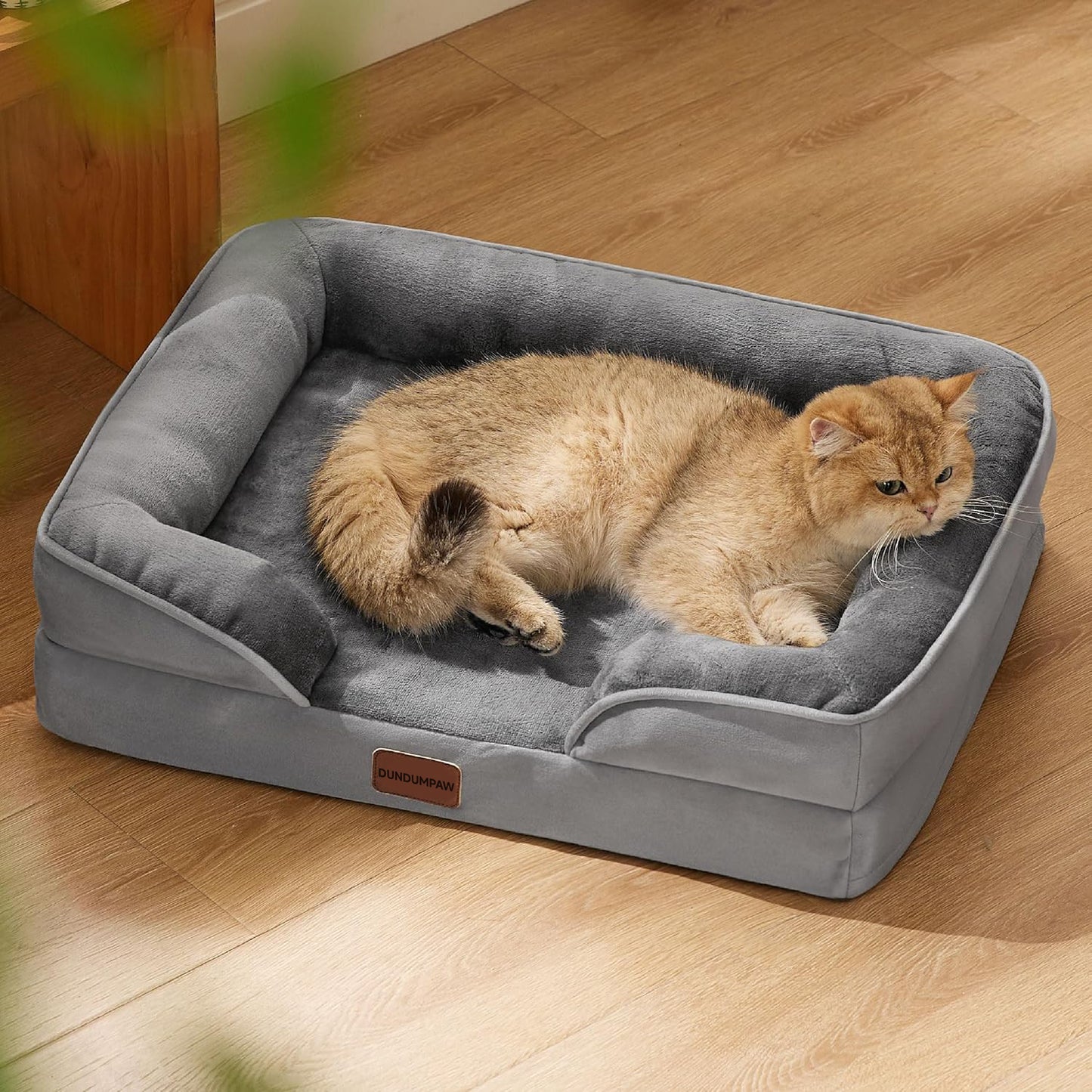 pet bed